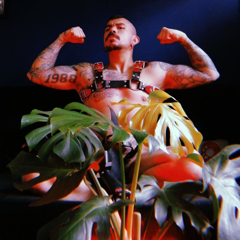 holevandalized01 OnlyFans profile picture