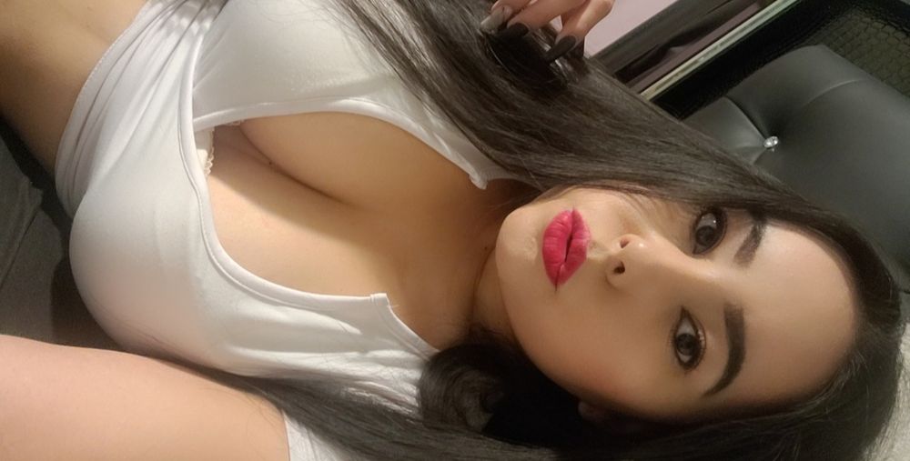 shybbynikki OnlyFans profile picture