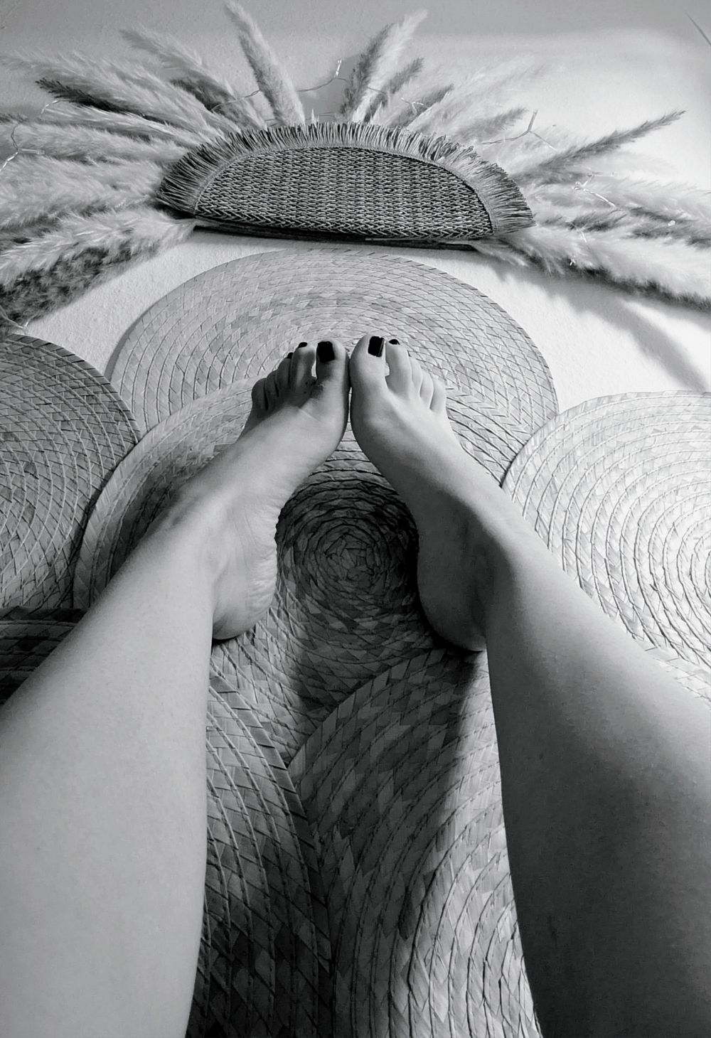 museoftheforest OnlyFans profile picture