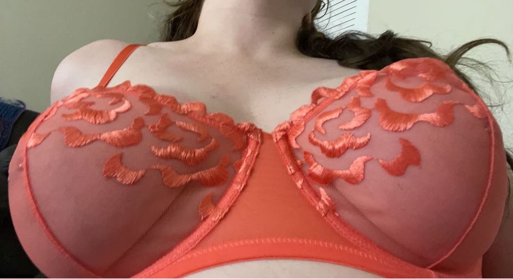anniexharlot OnlyFans profile picture