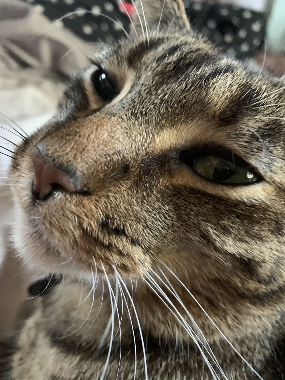 kendallsmami OnlyFans profile picture