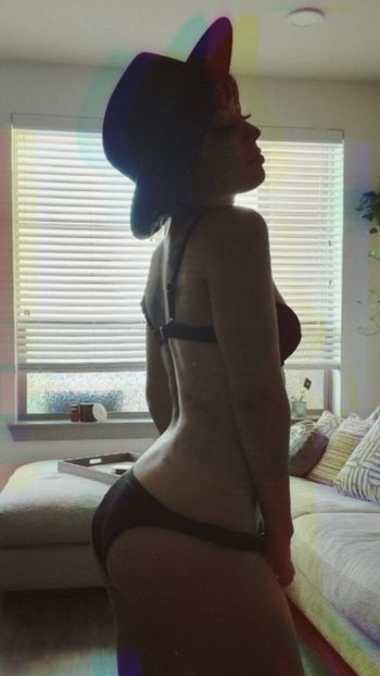 Nova Fox