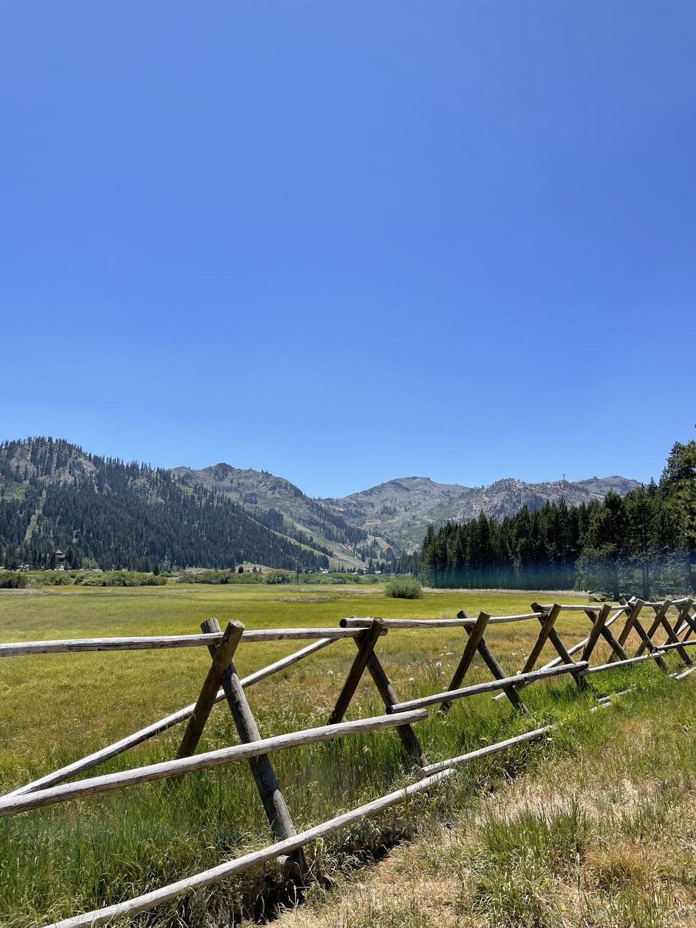 gavi_xxx OnlyFans - Stats, Graphs, Photos & Profile Comparisons | FansMetrics.com