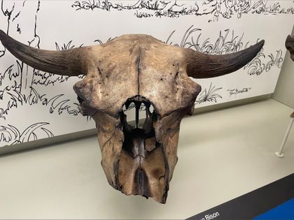 tatanka_adventures OnlyFans picture