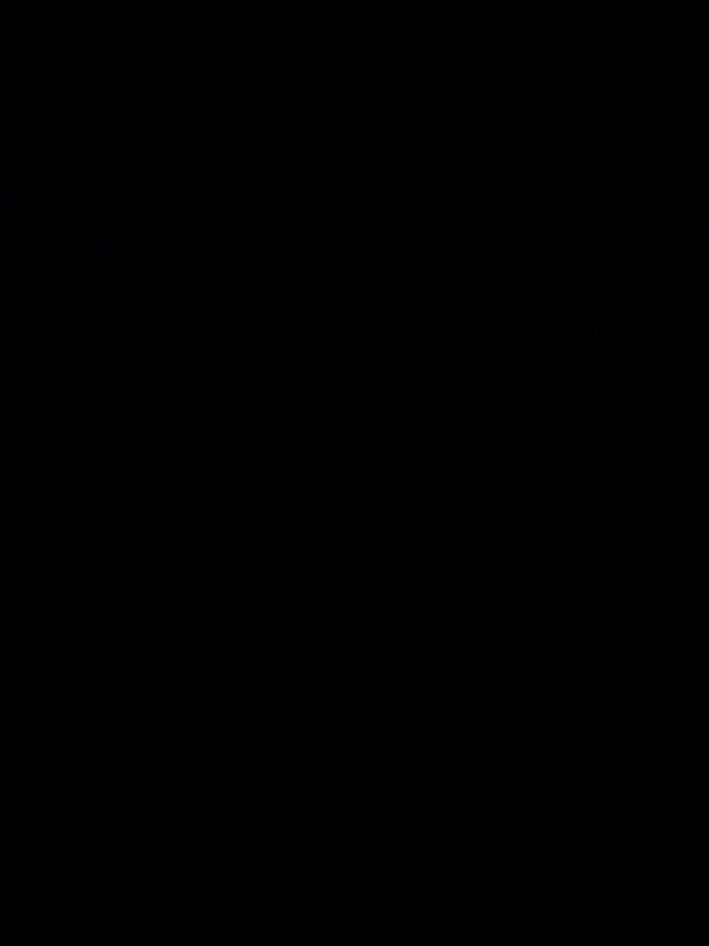 u44420035 OnlyFans profile picture