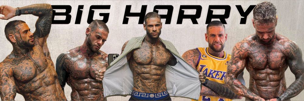 bigharrys OnlyFans profile picture