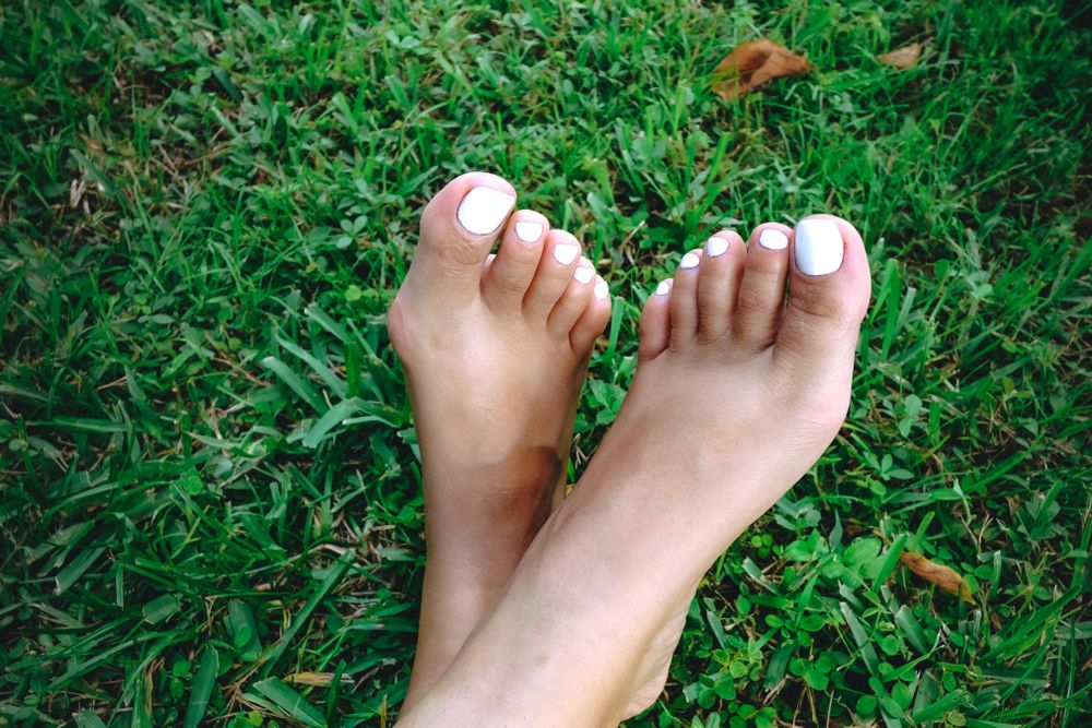 toenadeo OnlyFans profile picture