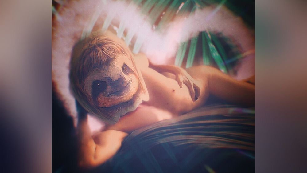 slothstronaut OnlyFans profile picture