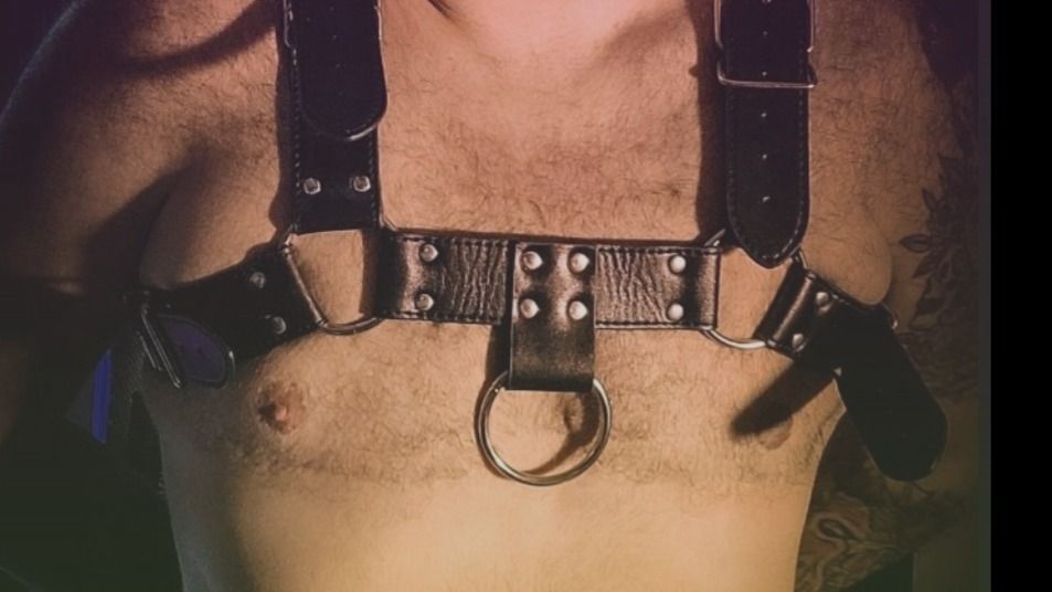 playtrans OnlyFans profile picture