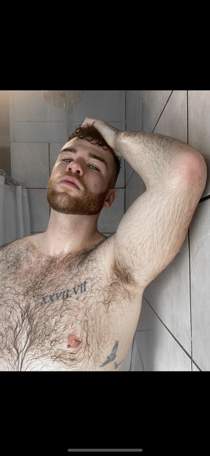 tomsibo OnlyFans picture