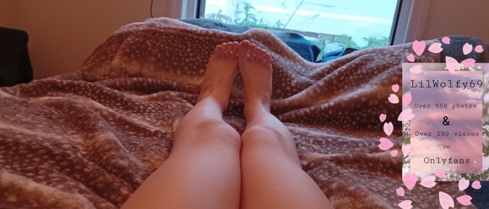 lilwolfy69 OnlyFans profile picture