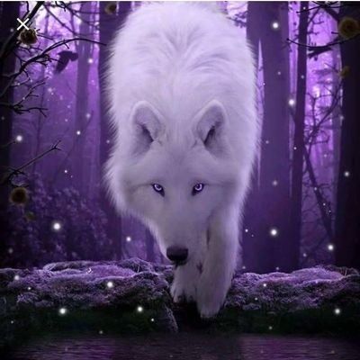 adventurouscougar OnlyFans profile picture