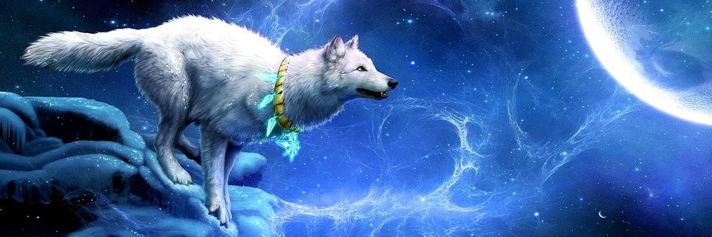 wolfire1 OnlyFans profile picture