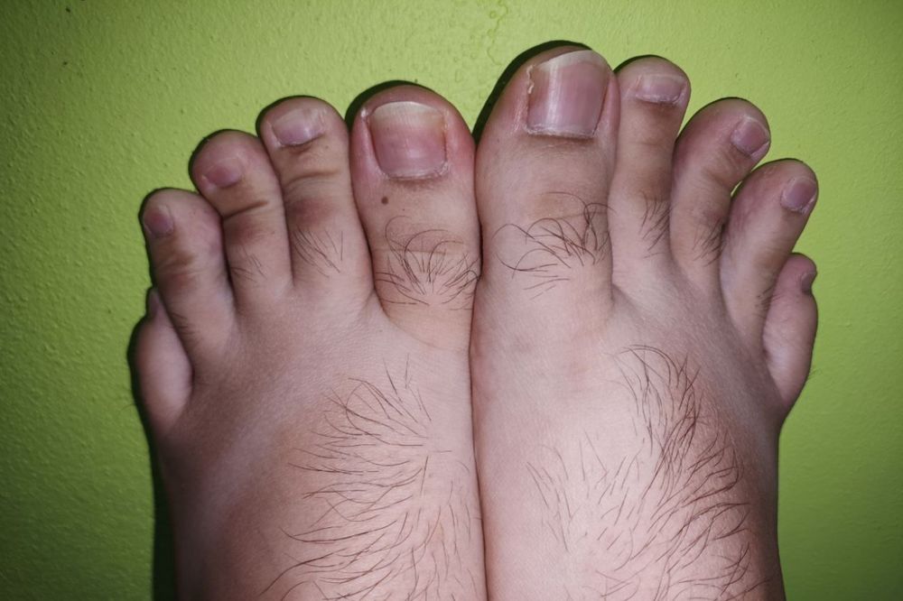 harryfeet25 OnlyFans profile picture