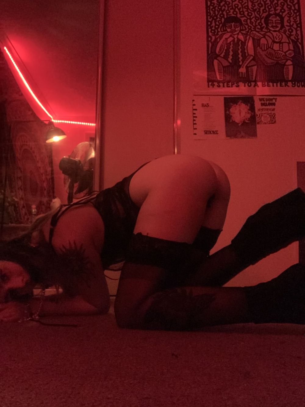 scarlettxwild OnlyFans profile picture