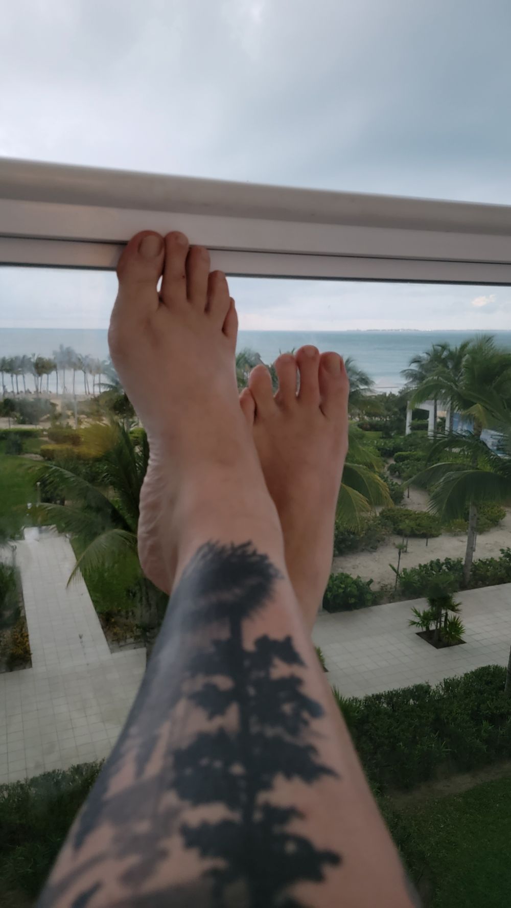 you.want.it.the.feet OnlyFans profile picture
