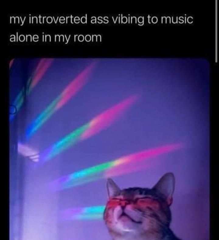 kinkymistresskitty OnlyFans profile picture