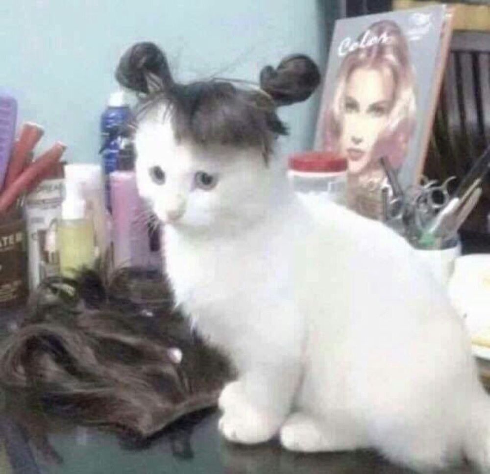 untilthen OnlyFans profile picture
