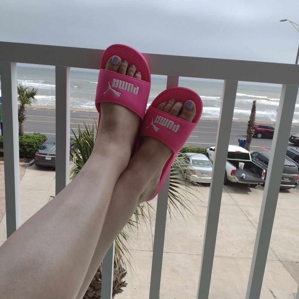 ladytammy OnlyFans profile picture
