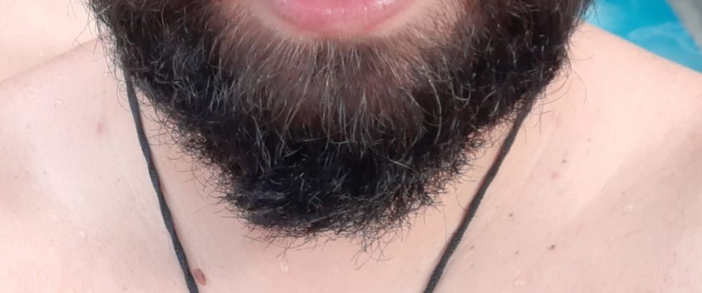 barbudobear OnlyFans profile picture