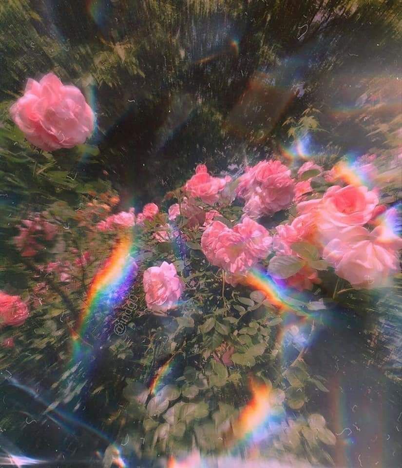 lamedusaxxx OnlyFans profile picture