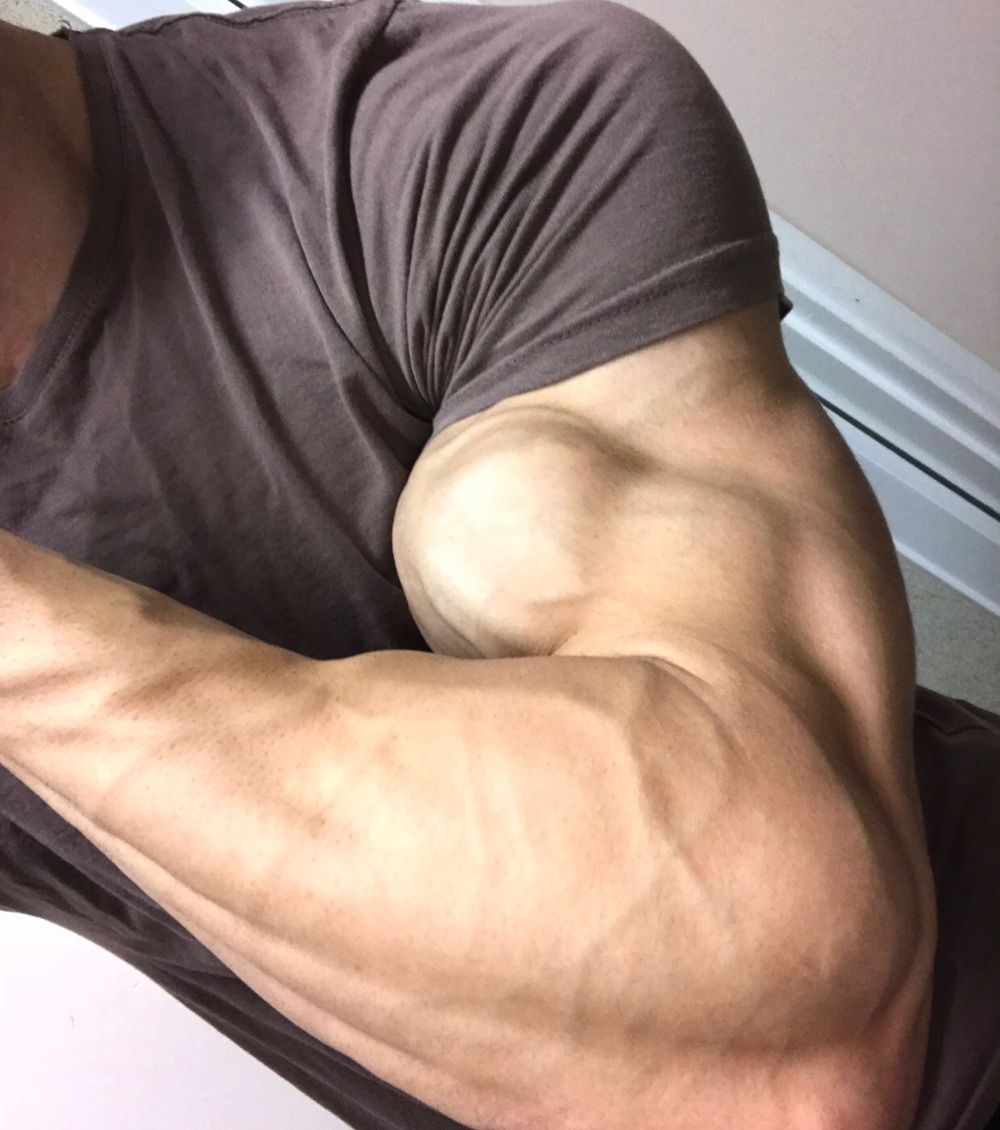 shreddedwarrior OnlyFans profile picture