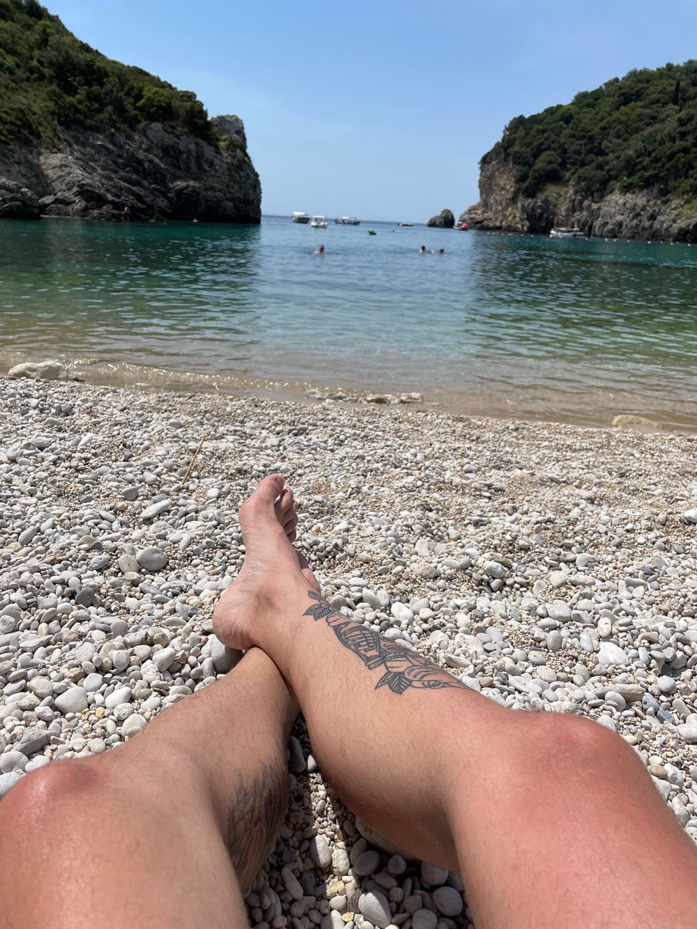 deeschamps OnlyFans profile picture