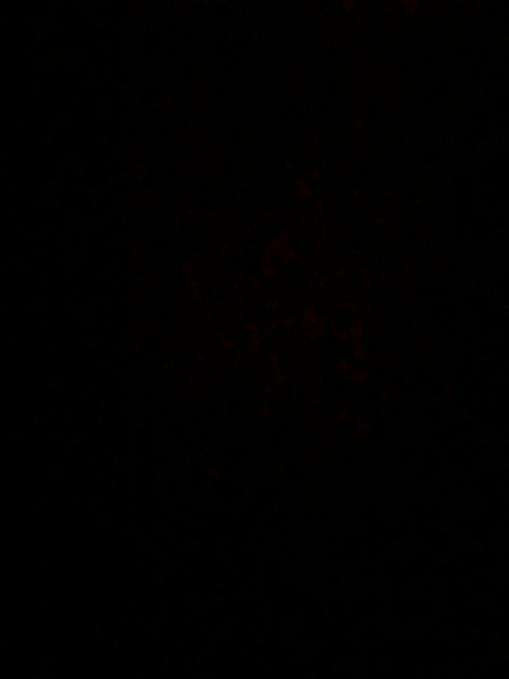 trashhtitties OnlyFans profile picture