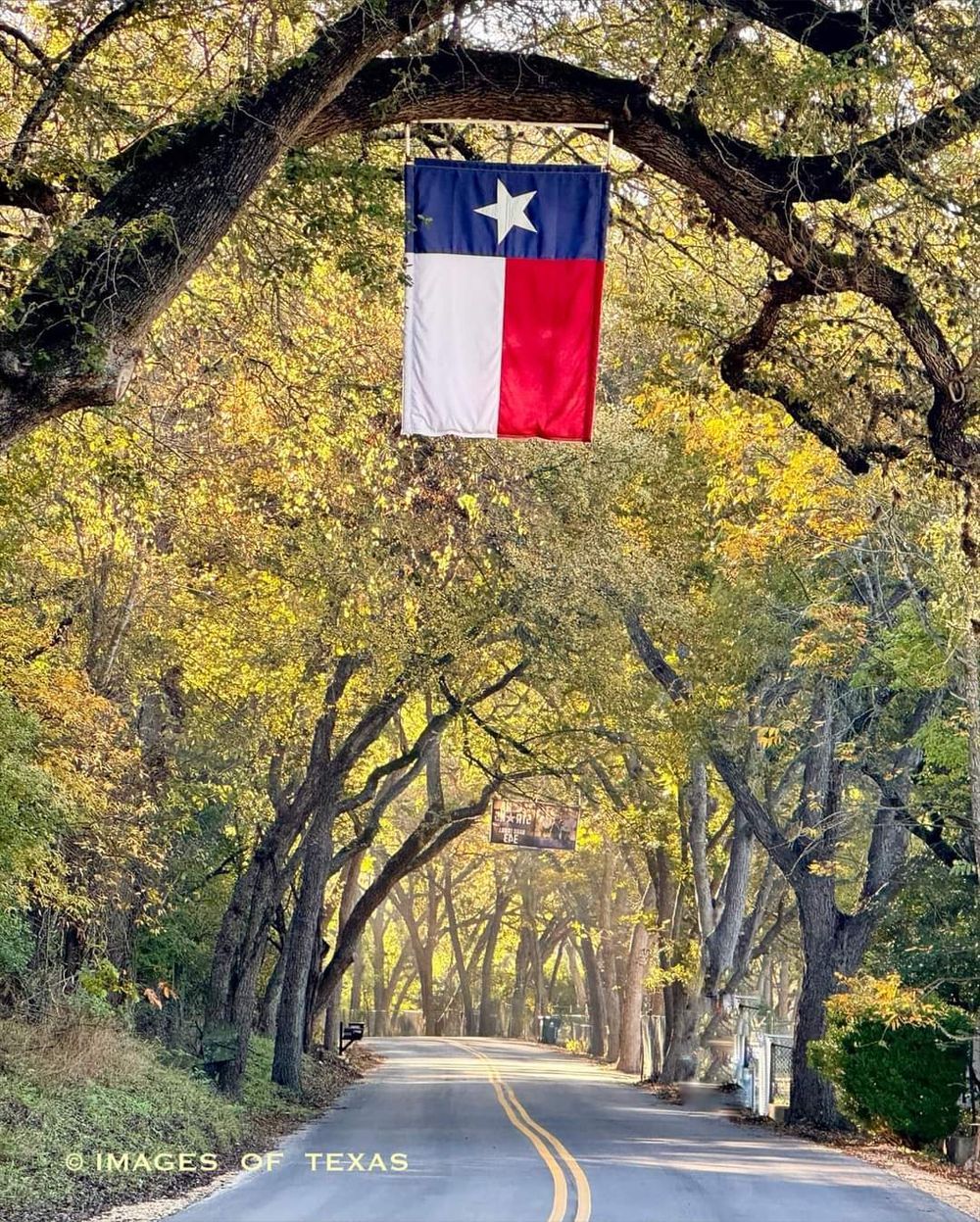 texasguy09 OnlyFans profile picture