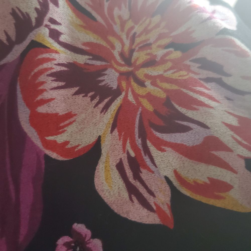 piratepylot OnlyFans profile picture