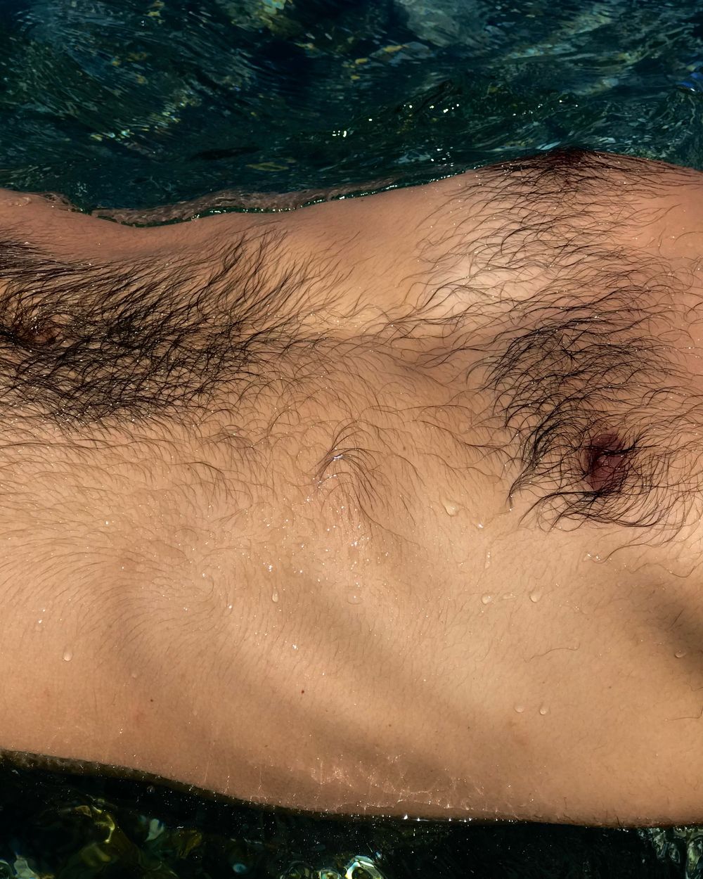 hhairyfairy OnlyFans profile picture
