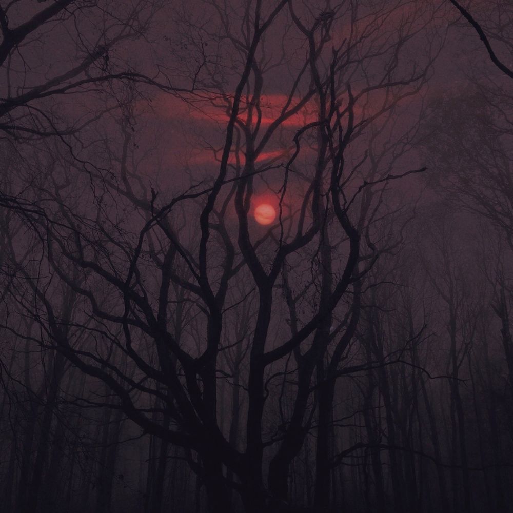bloodynebula OnlyFans profile picture