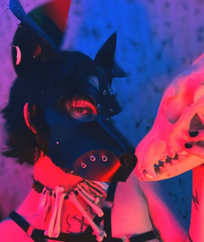 pupmoth OnlyFans picture