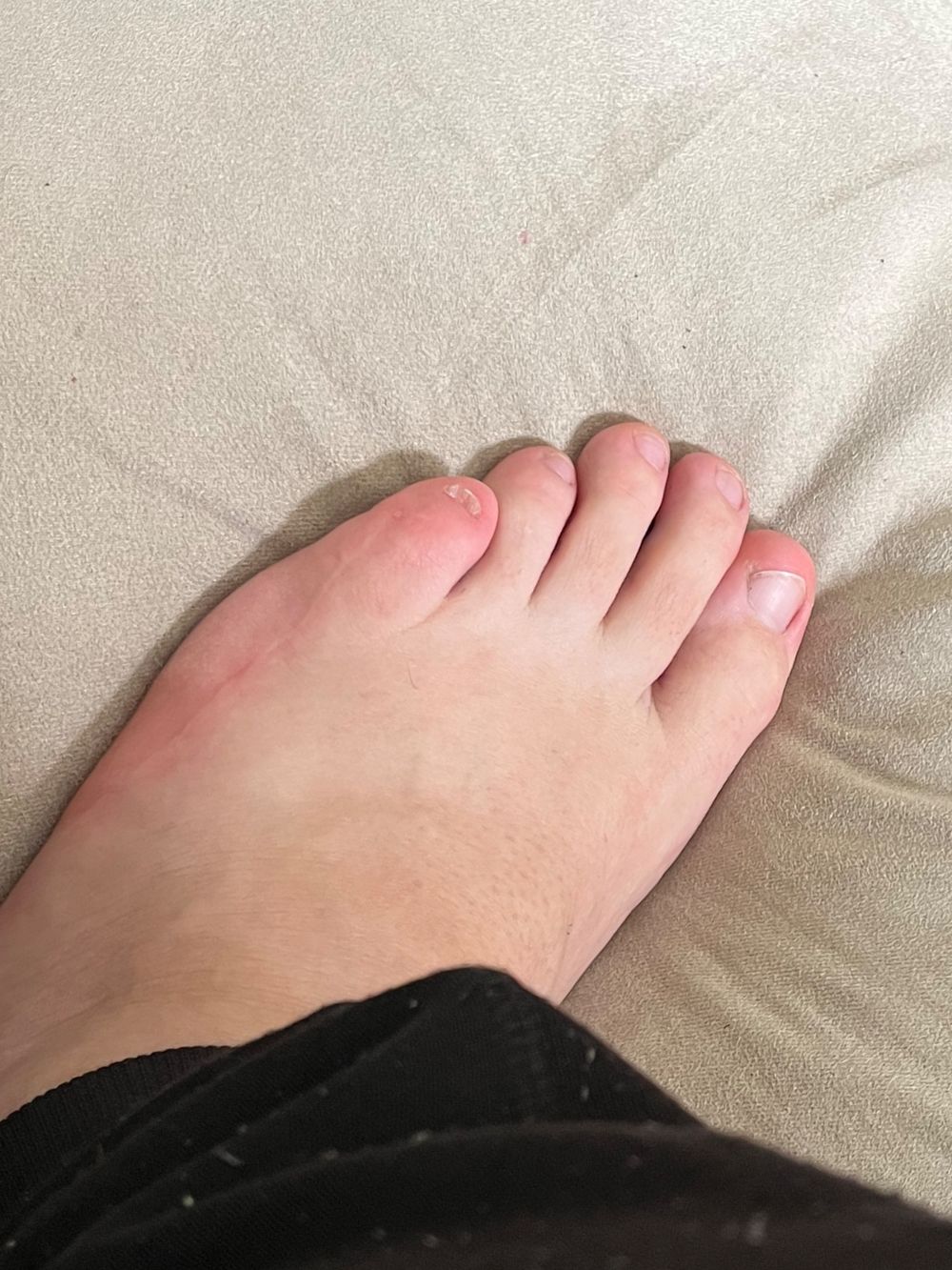 u95229251 OnlyFans profile picture