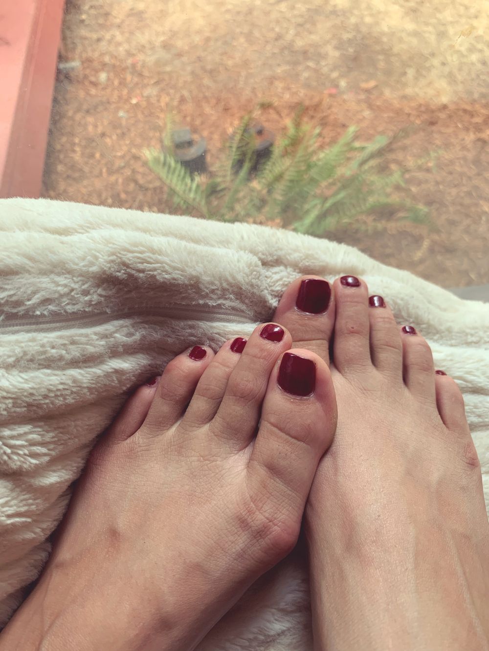 feetpicsivy OnlyFans profile picture
