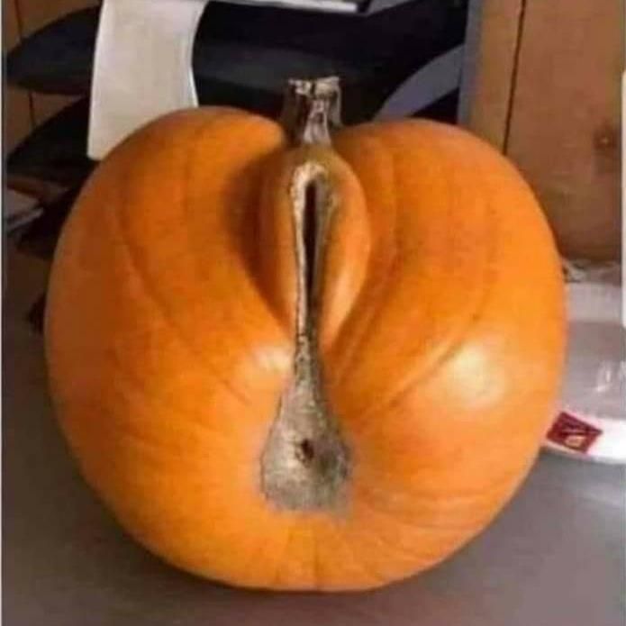 master_ofsex OnlyFans profile picture