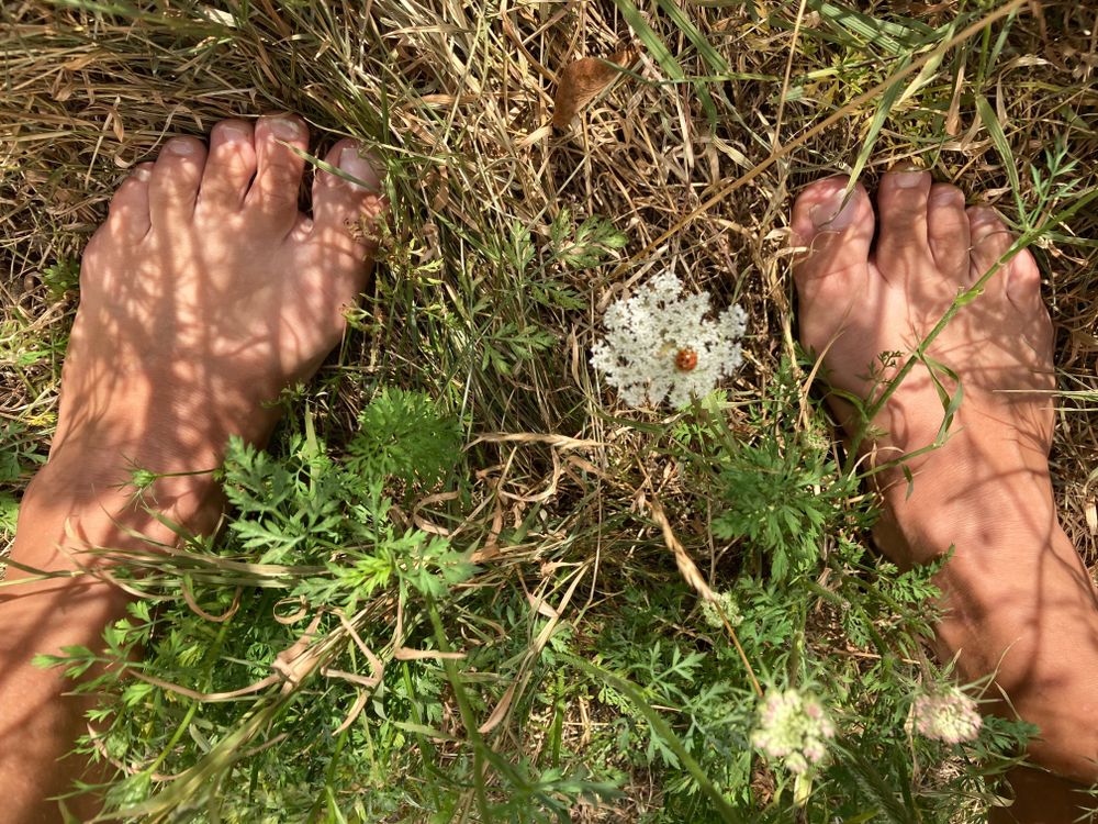 wildsagfeet OnlyFans profile picture