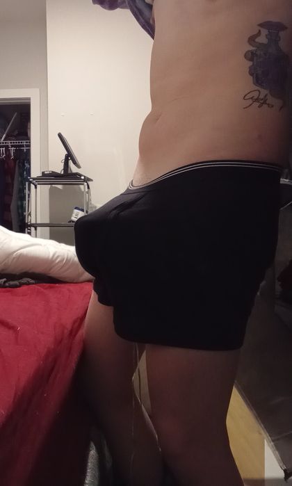 transdaddy53666 OnlyFans picture