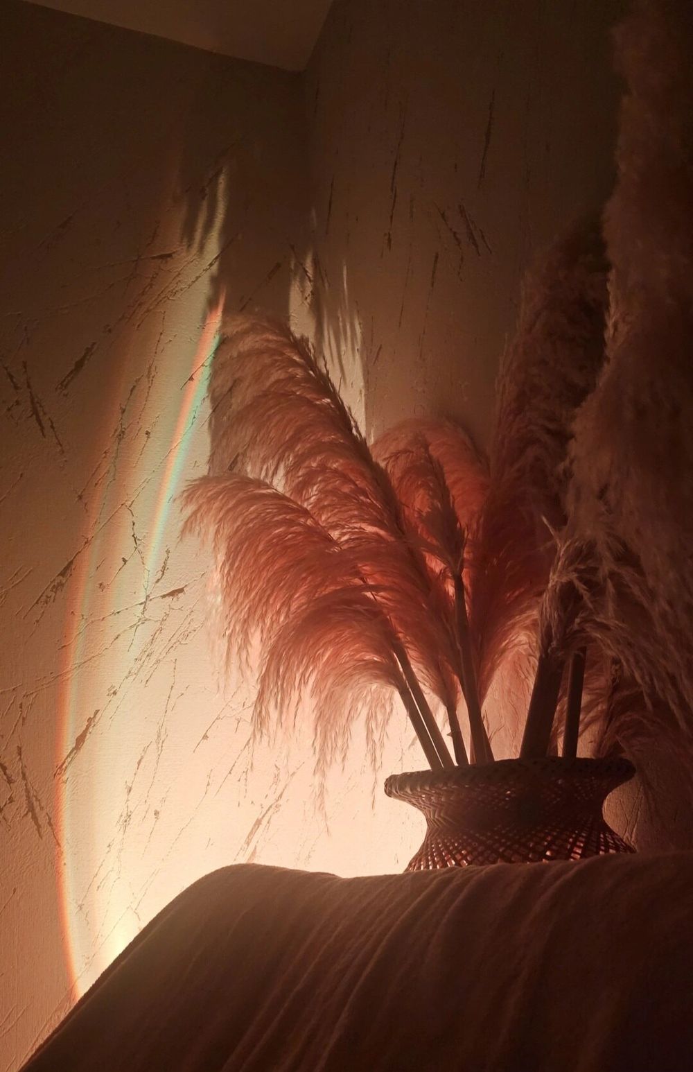 meridabell OnlyFans profile picture