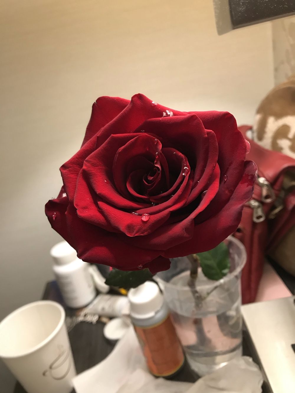 scarlett2729 OnlyFans profile picture