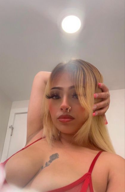 mellycatxxx OnlyFans picture