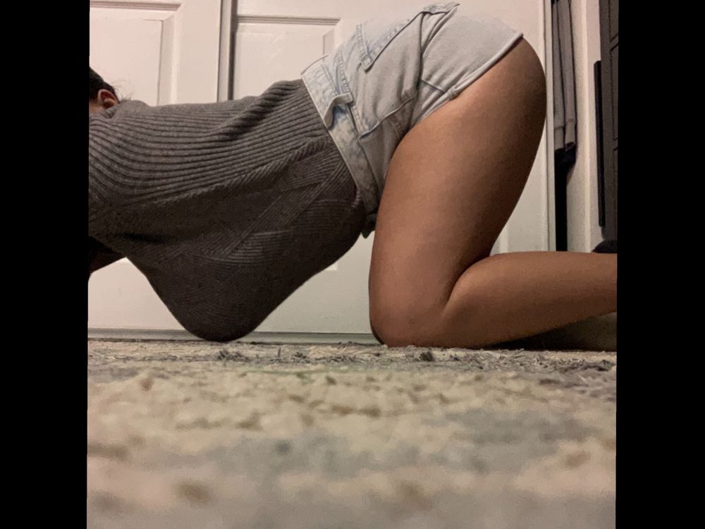 salvadorianprincess2 OnlyFans profile picture