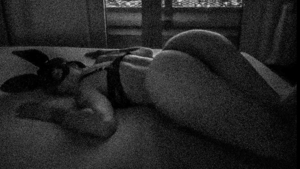nohefnerbunny OnlyFans profile picture