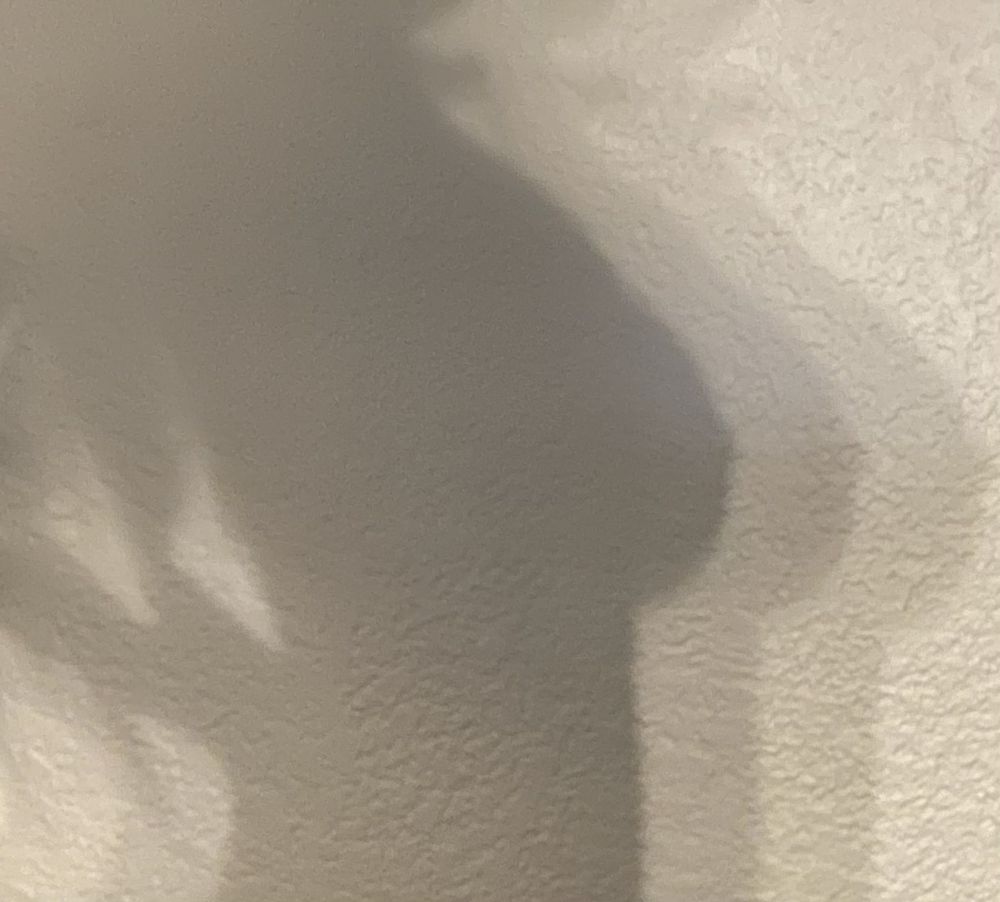 number1rider OnlyFans profile picture
