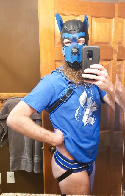 puptucker OnlyFans picture