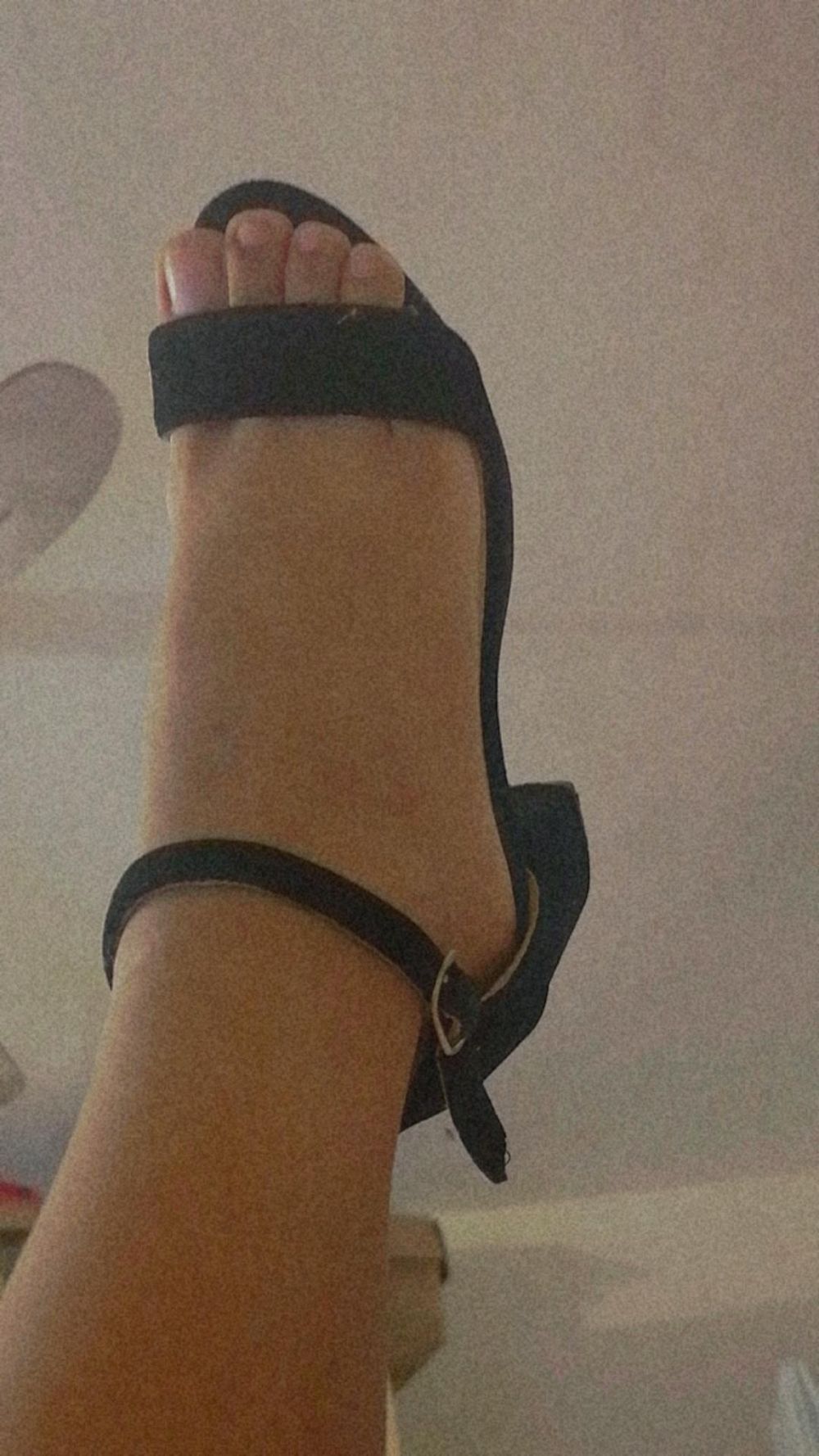 laaprendis OnlyFans profile picture