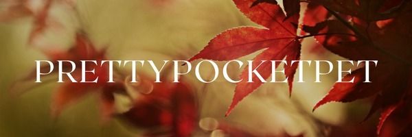 pocketpet OnlyFans profile picture
