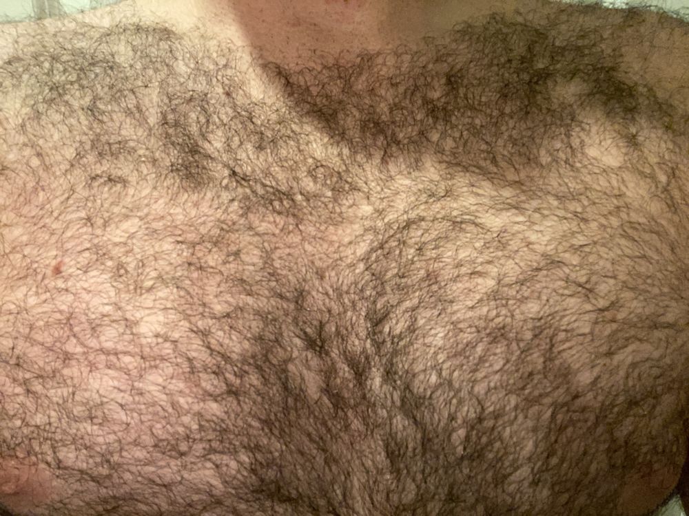 justthemeat OnlyFans profile picture