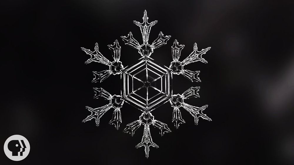 snow_wolfii OnlyFans profile picture