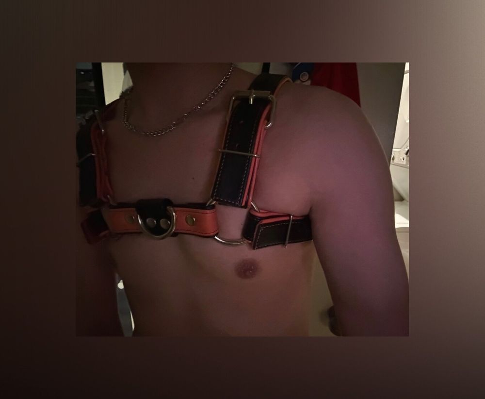 avocado_papas OnlyFans profile picture